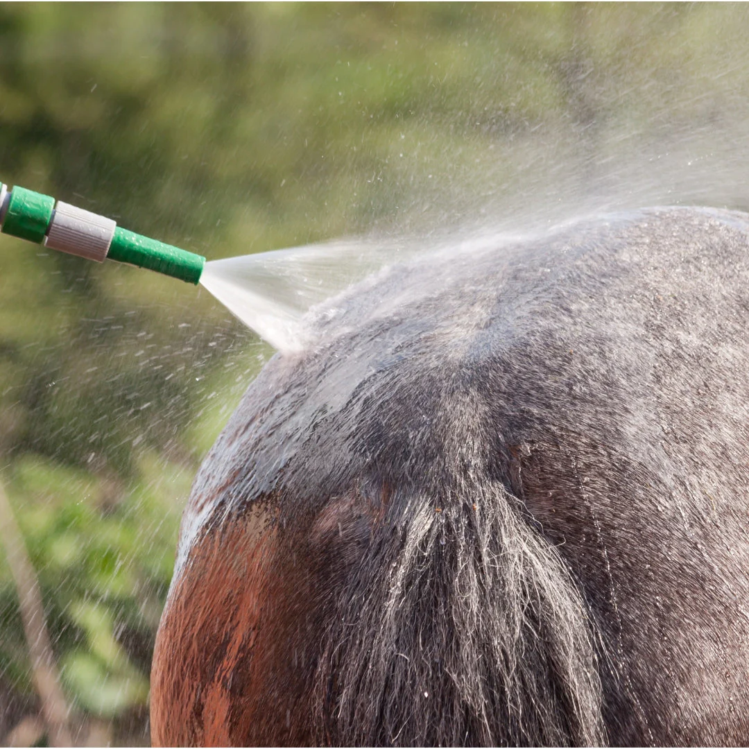 HomePets Shower Warmer by HomePets - Image 4