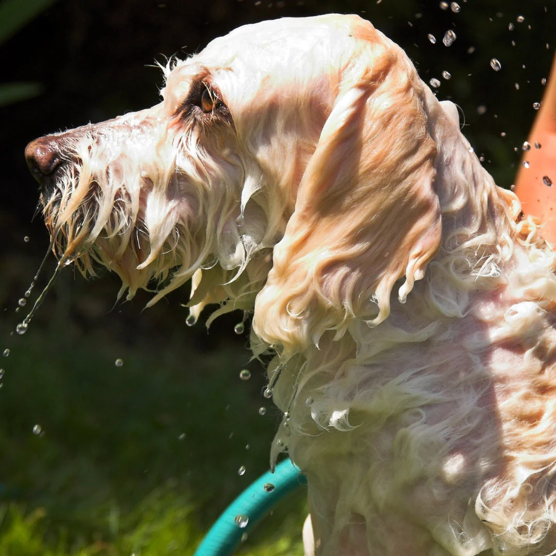 HomePets Shower Warmer by HomePets - Image 5