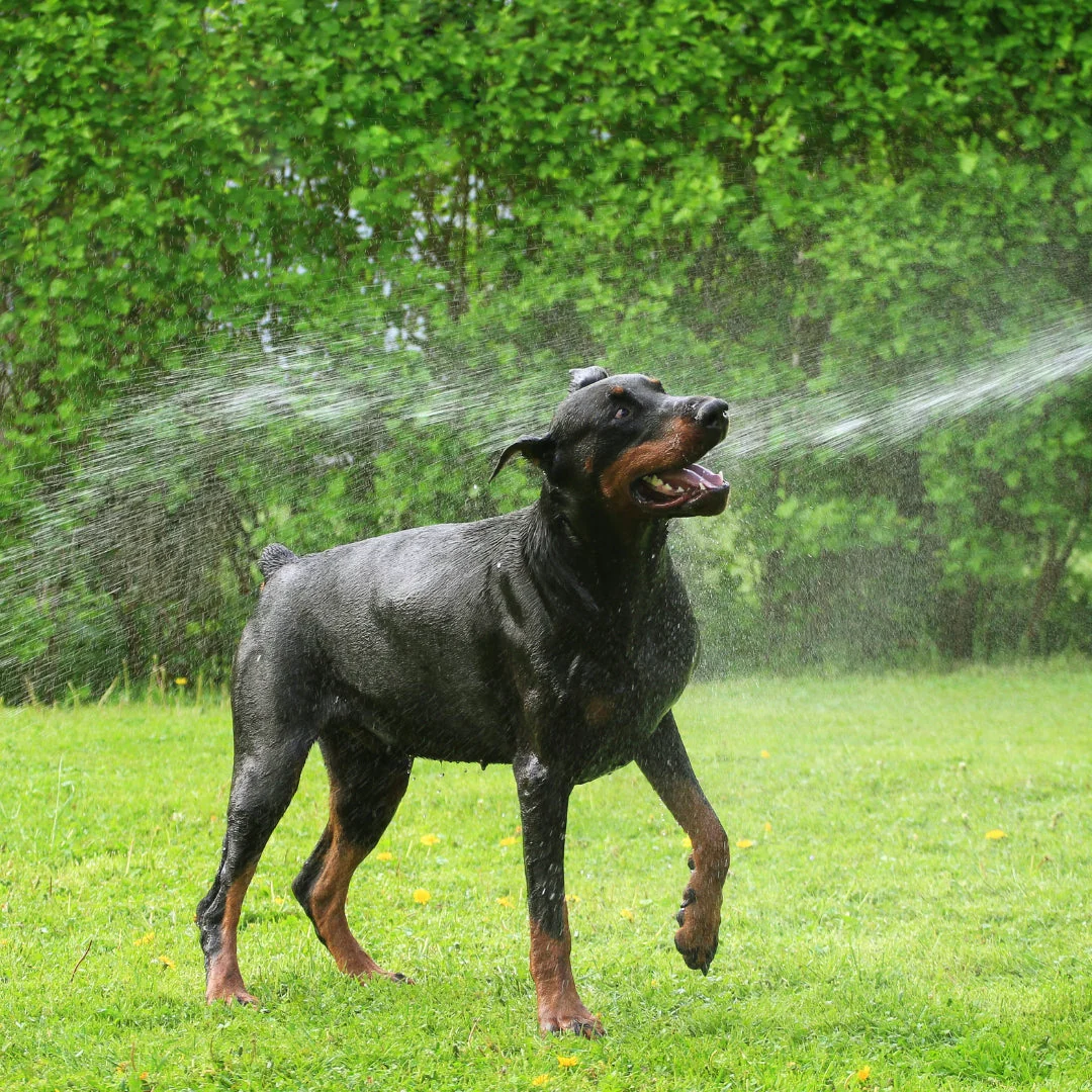 HomePets Shower Warmer by HomePets - Image 6