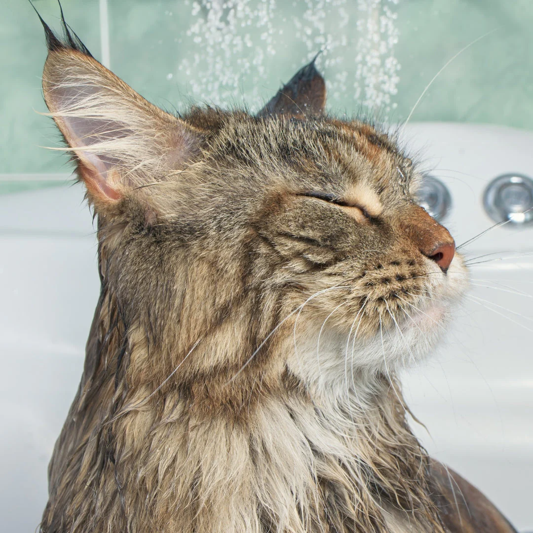 HomePets Shower Warmer by HomePets - Image 7